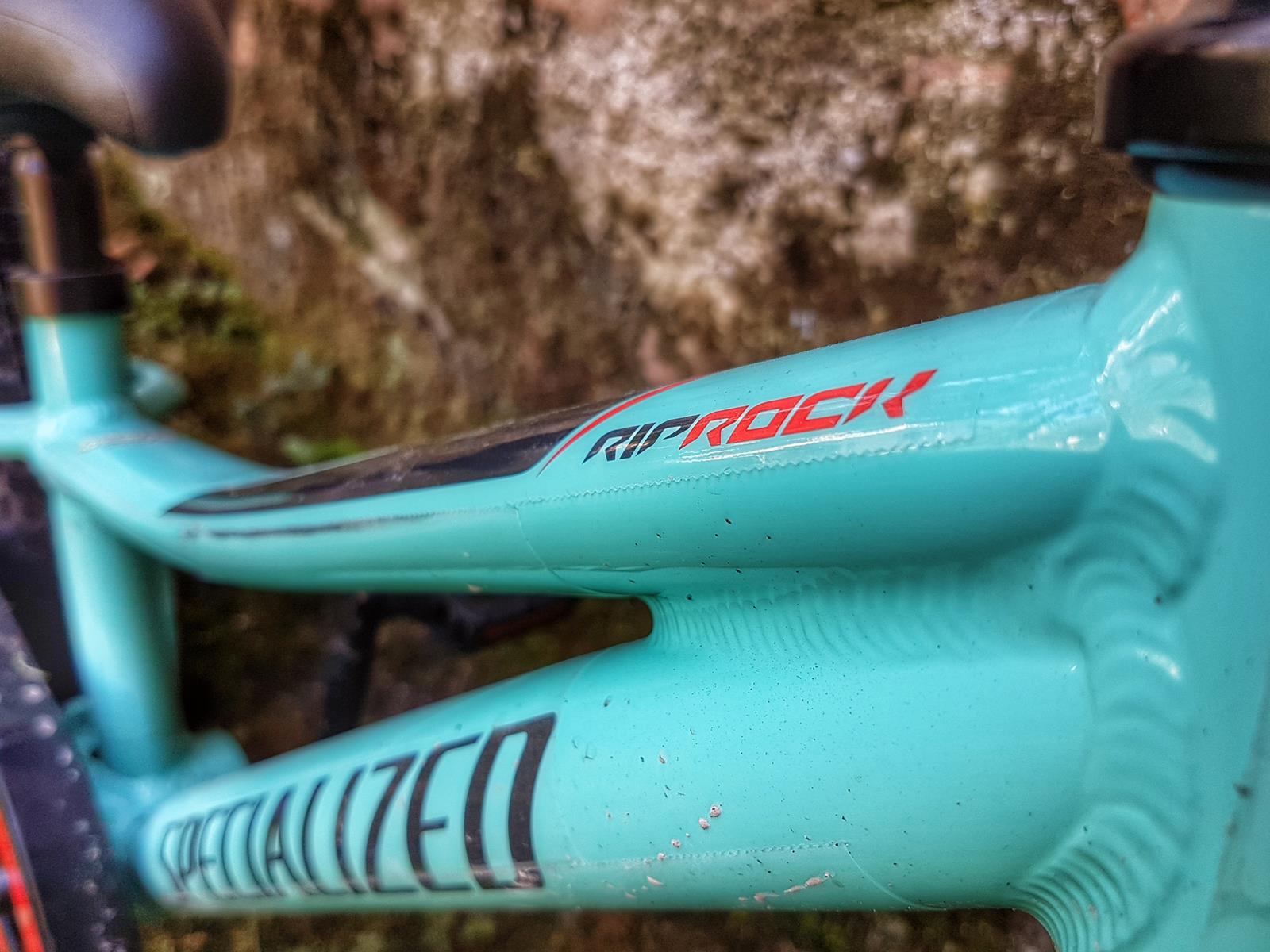 Specialized Riprock Coaster 16 - TEST slika 1