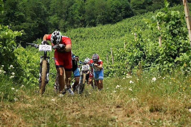 Okušajte se u MTB orijentaciji u okolici Zagreba slika 4