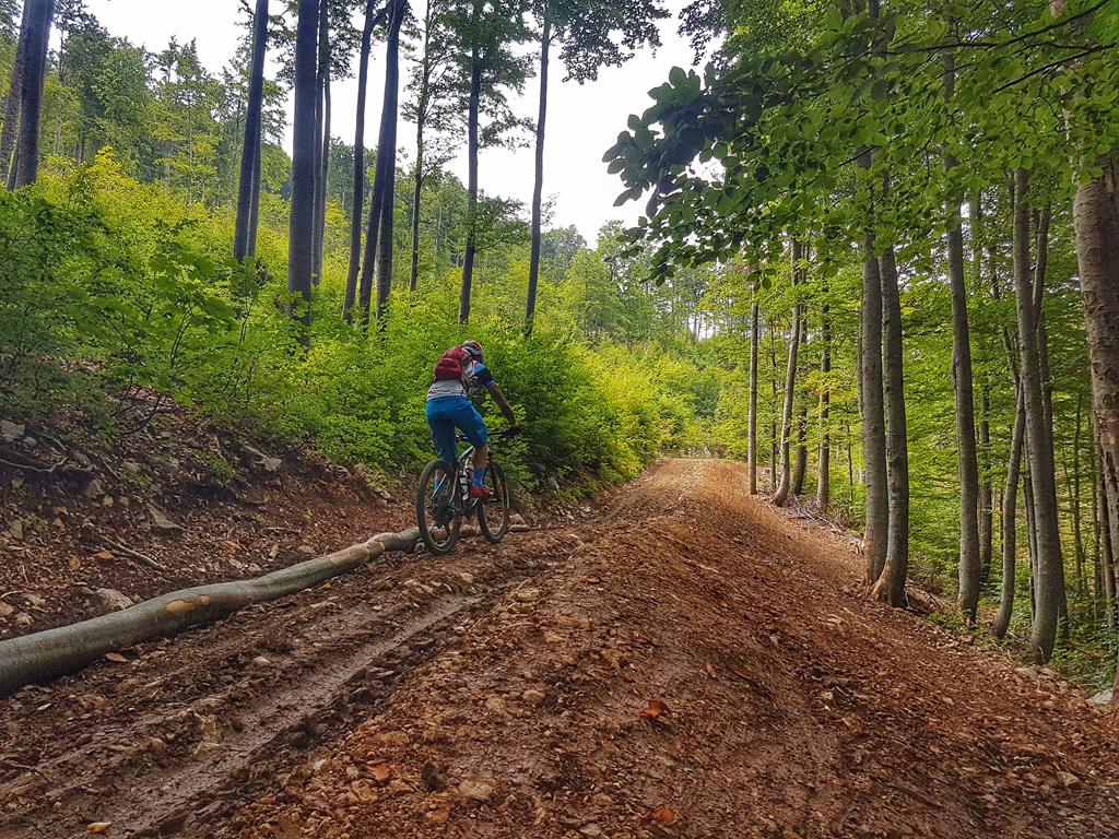 Fužine2Sea - BIKER INSPEKCIJA slika 15