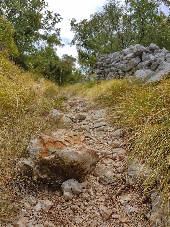 Fužine2Sea - BIKER INSPEKCIJA slika 19