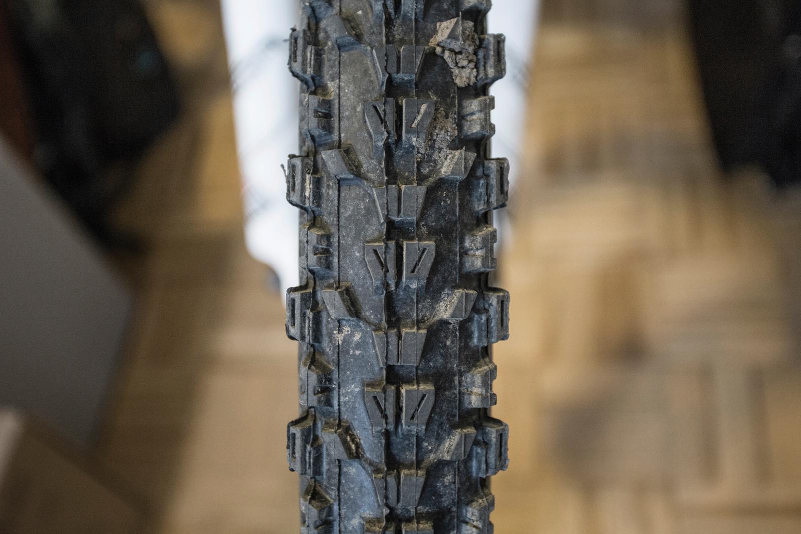 Maxxis Ardent na testu slika 1