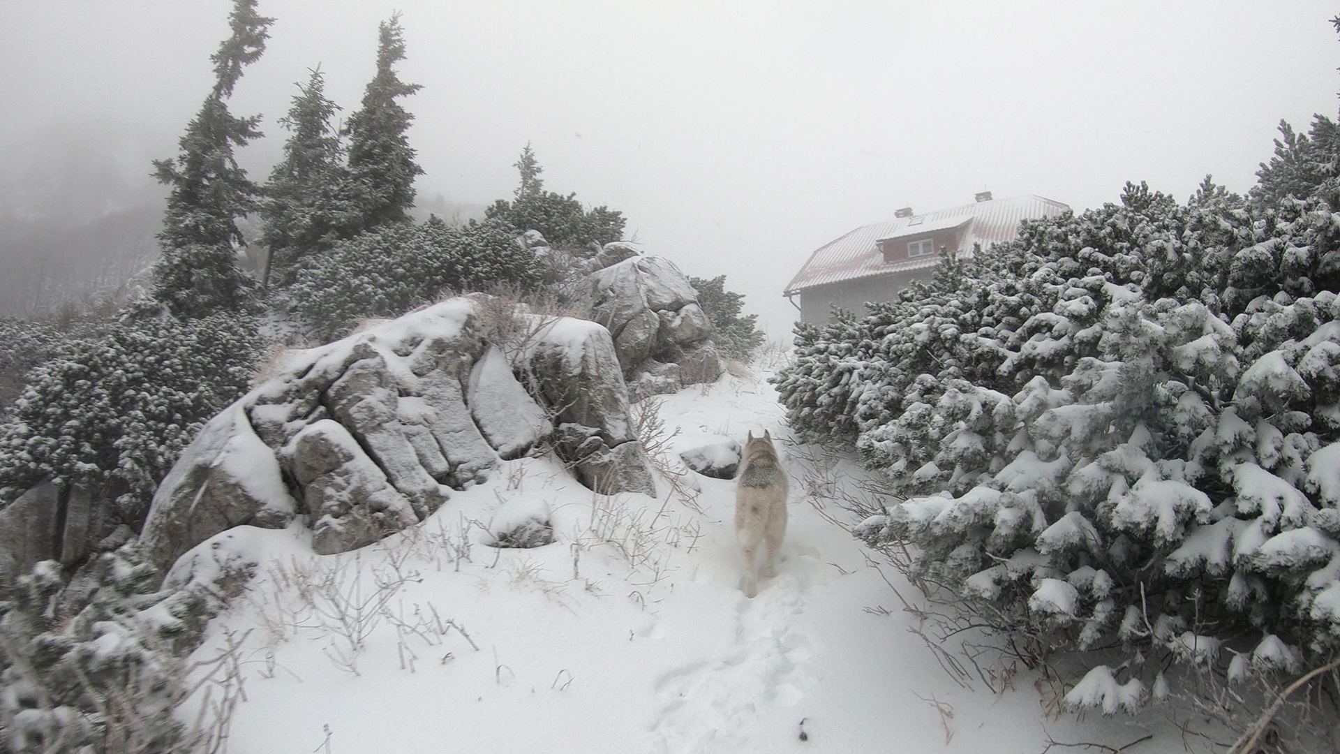 Risnjak Hut Croatia.jpg (1.25 MB)