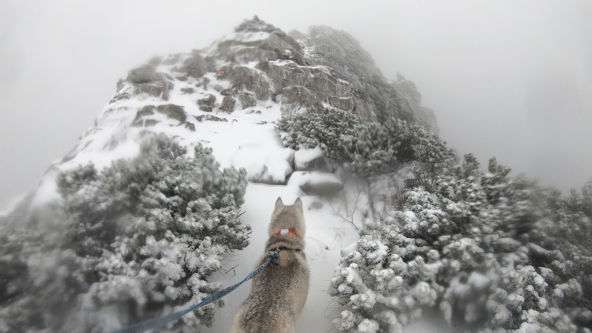 Risnjak Winter Peak Croatia Hiking.jpg (1.13 MB)