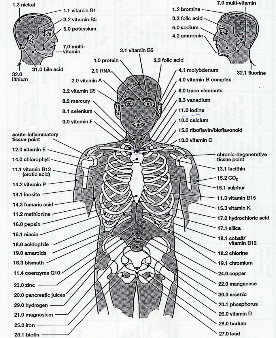 Mjerenje vitamina i minerala u tijelu slika 2