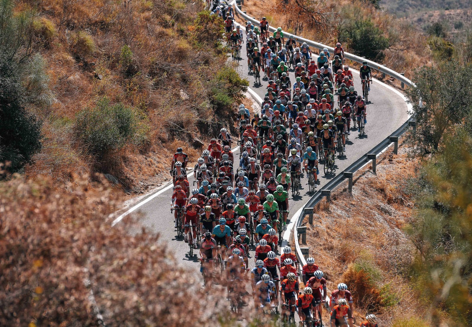 Što jedu biciklisti na Tour de Franceu? slika 1