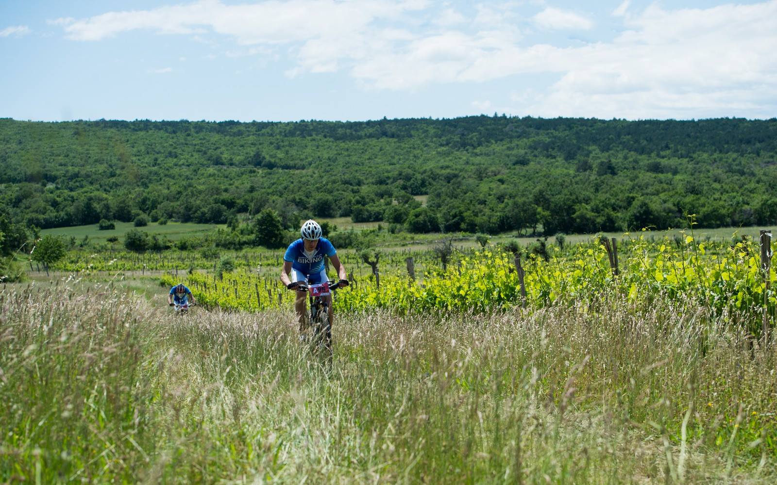 XCM Valamar Terra Magica (najava) slika 1