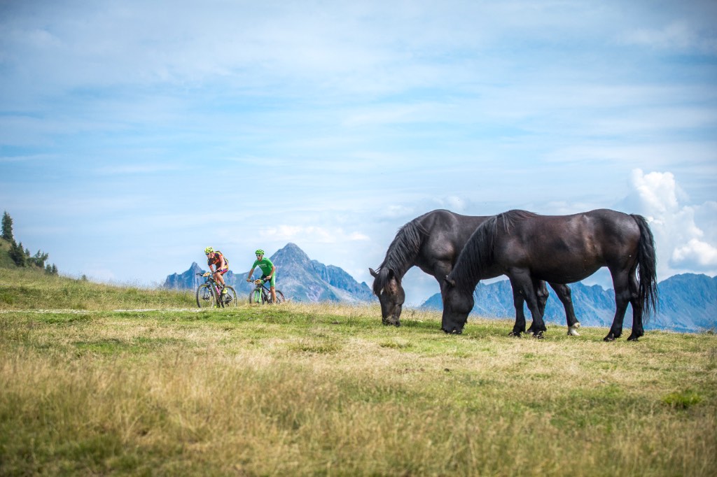 Nova ruta BIKE Transalpa 2016 uz novi nastup Hrvata slika 3