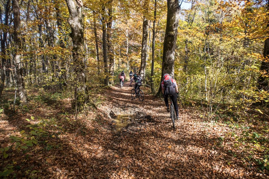 Transciklusiranje po Medvednici slika 1