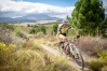 Singletrack 2.etapa - Absa Cape Epic