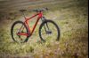 Wilier Triestina 101X