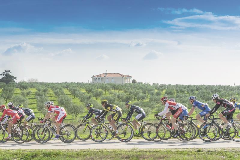 Istria Granfondo slika 1